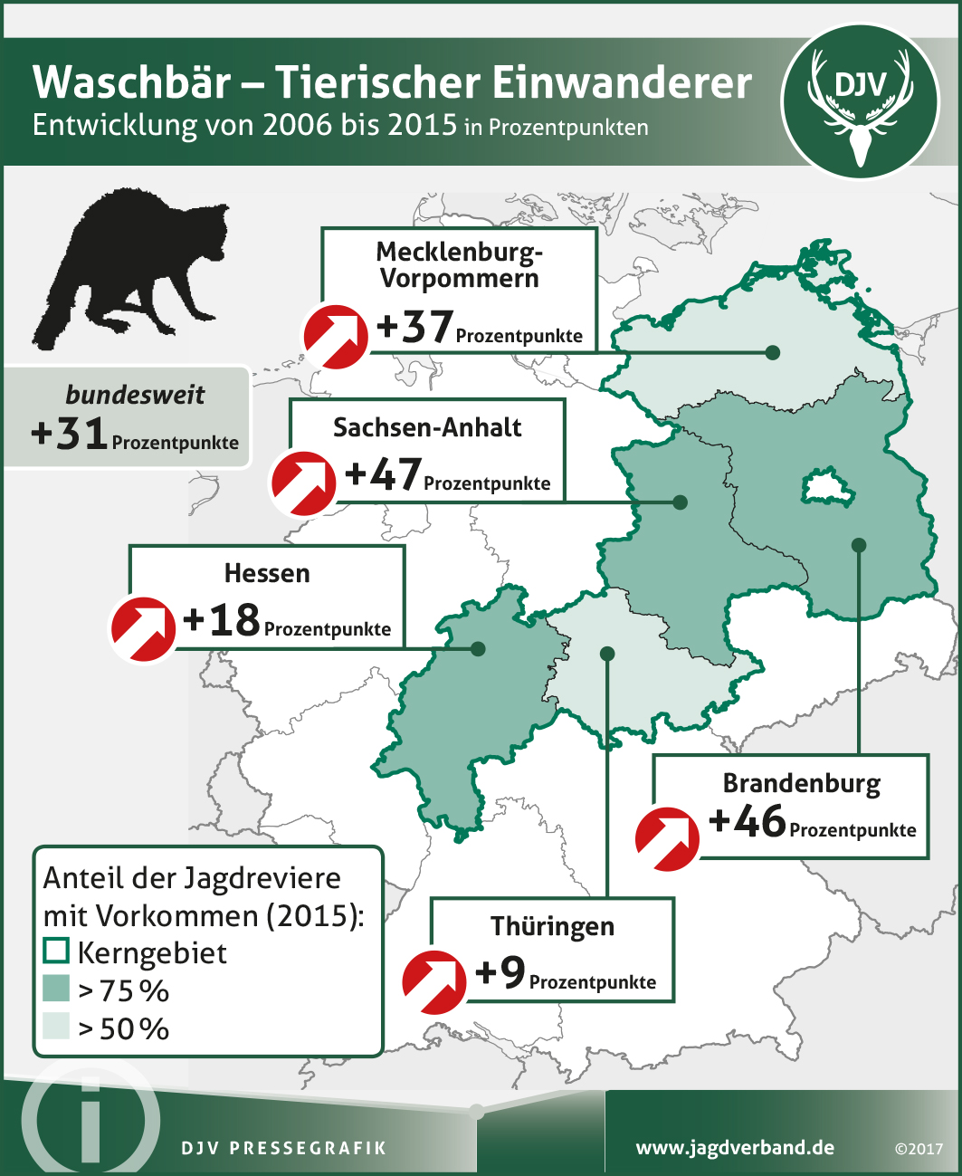 Zahl gebietsfremder Arten steigt | Deutscher Jagdverband